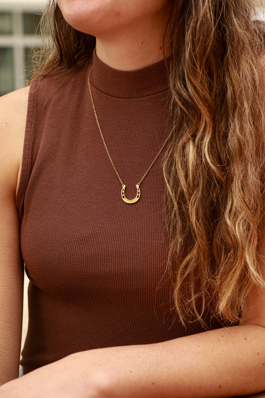 Collar de herradura de acero inoxidable